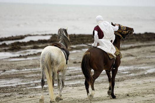 Ride on the beach