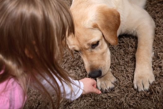 A young girl playing with a puppy during a dog therapy session.