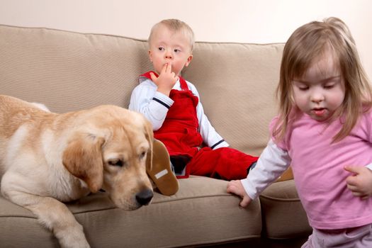 Two children with Down syndrome playing with a dog on a sofa.