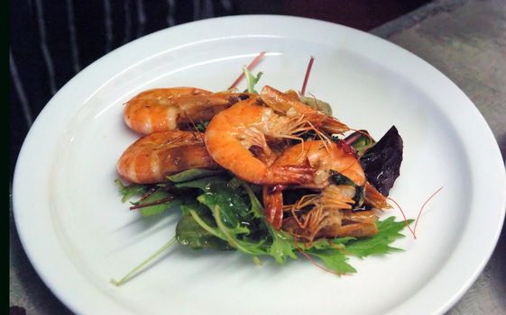 Scampi on salad on white plate