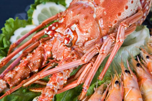 Fresh and delicious seafood - lobster and shrimp