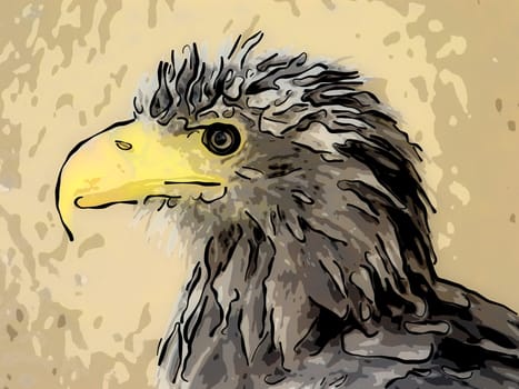 Portrait of an eagle - illustration