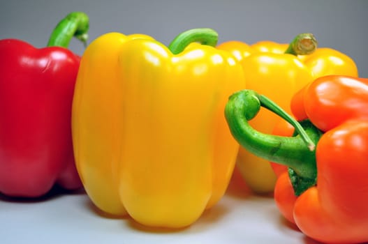 Fresh vegetables: photo of multicolor peppers