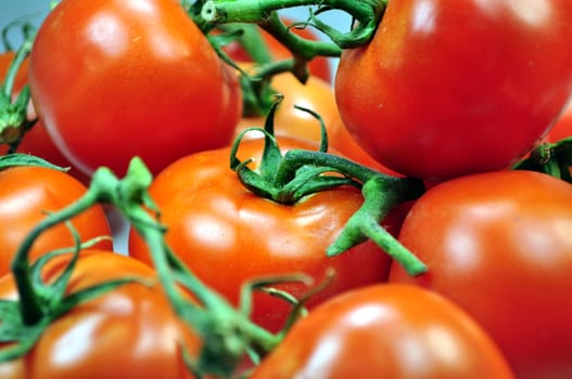 Fresh vegetables: tomatoes