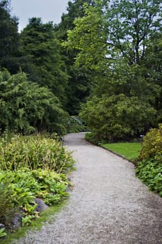 A path through a beautiful garden