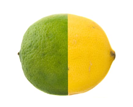 Fresh citrus fruits isolated on white