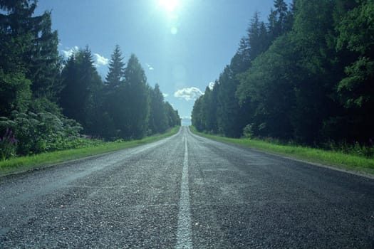Sunny asphalt counryside road