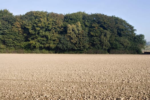 A ploughed field with trees in the background