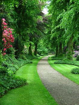 A path through a verdant garden