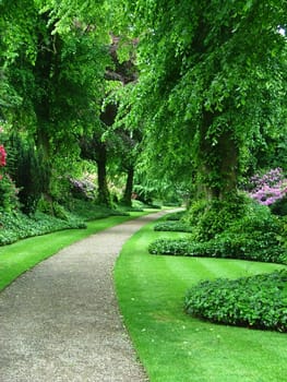 A path through a beautiful garden