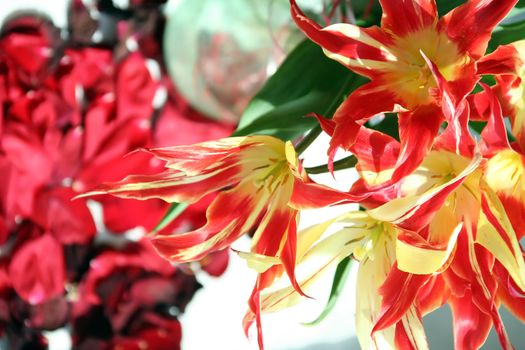 In a vase there is a bouquet of tulips at a window