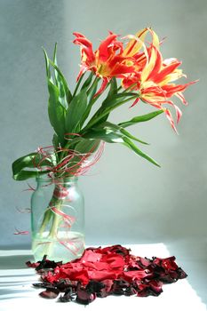 In a vase there is a bouquet of tulips at a window