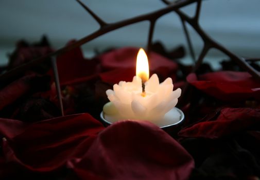 The candle with a bright flame on petals burns