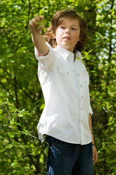 young boy gets a leaf from a tree