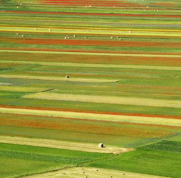 
Aerial view of fields on Piano Grande plateau in the National Park of Sibillini Mountains Umbria central Italy. 2007