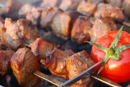 tasty fried meat with tomato