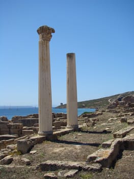 
Corinthian columns at Tharros ancient city in Sardinia.West coast of Sardinia island Italy Europe. VII 2008
