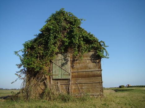 
old wooden huts near Pomposa abbey in Italy