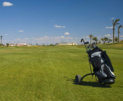 Golf cart on the fairway