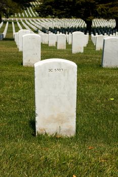 Memorial Day is U.S. Federal Holiday that is observed on the last Monday of May. This holiday commemorates U.S. men and women who have died in military service to their country.