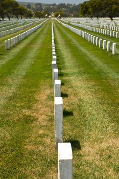 Memorial Day is U.S. Federal Holiday that is observed on the last Monday of May. This holiday commemorates U.S. men and women who have died in military service to their country.