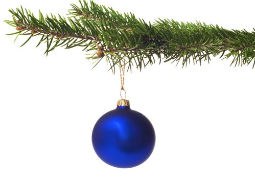 Christmas tree isolated