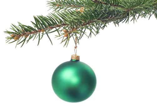 Christmas tree isolated