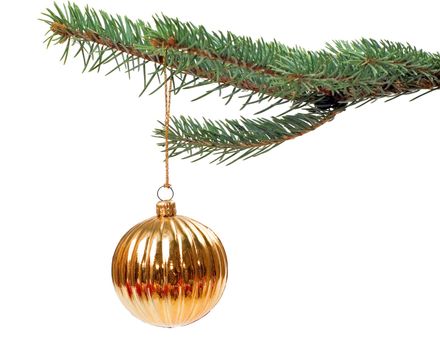 Christmas tree isolated