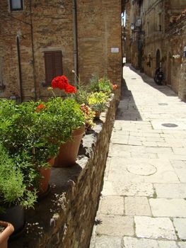 Mediterranean street, Colle di val d'Elsa,Tuscany,
Italy.