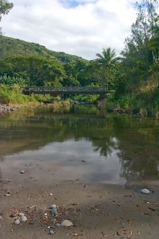 The island of Maui is the second-largest of the Hawaiian Islands