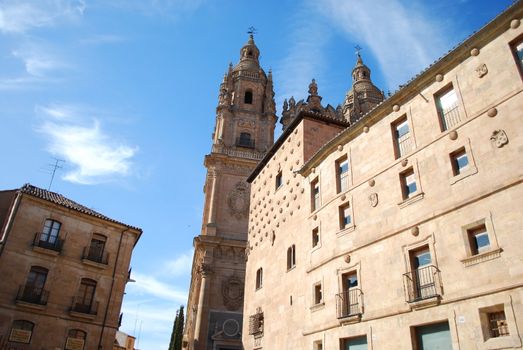 main university and famous museum in Salamanca