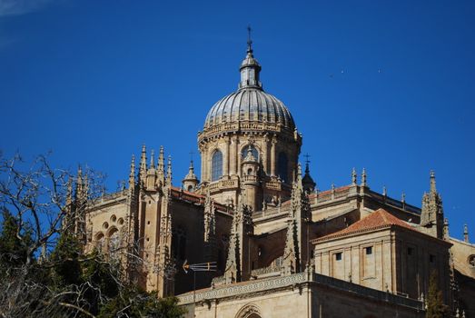 famous cathedral, new and old, in Salamanca