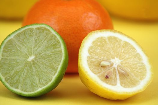 Composition of citrus fruits