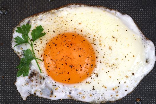 Fried egg on frying pan background