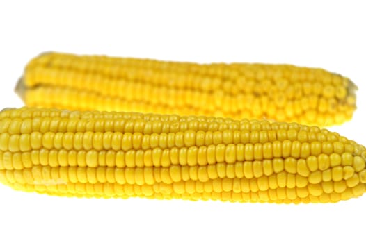 Corn cob over white