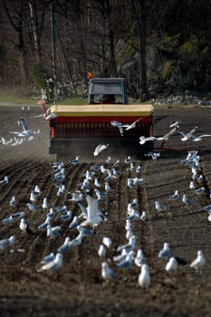 Norwegian farmer.