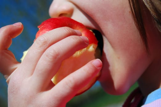 kid bites an apple. outdoor