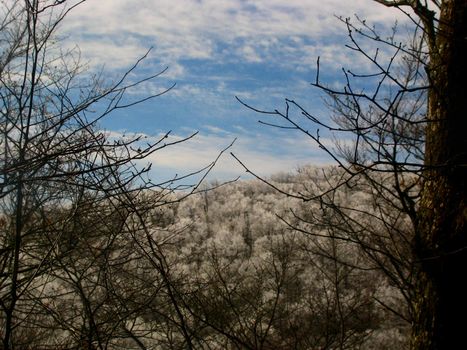 A morning picture taken on the AP after a cold night. The trees were iced over.