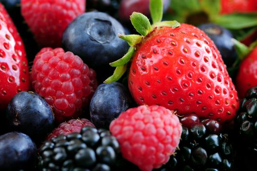Background of assorted fresh berries close up