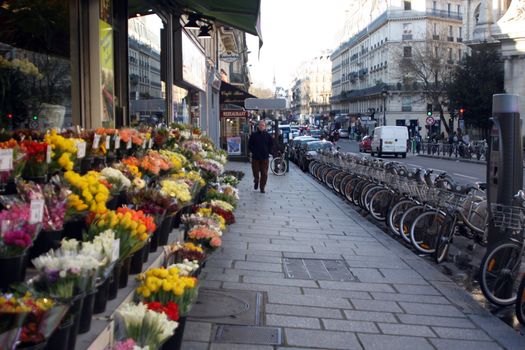 Paris street at spring