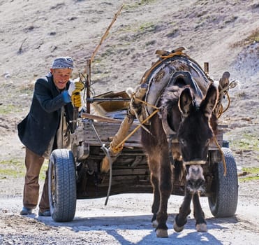 May 2008 Turkish village - Old Turkish man working with his donkey