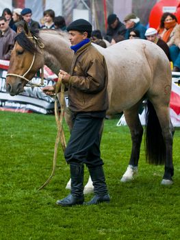 September 2008 Montevideo Uruguay - Gaucho in a horse show in "Expo Prado"