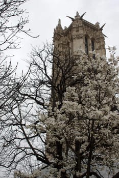 Church in the middle of Paris