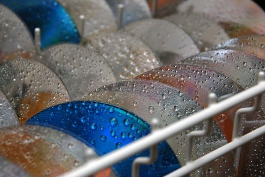 Washing cd / Dvd`s in  dishwash machine.
Selective focus.
Norway 2009.