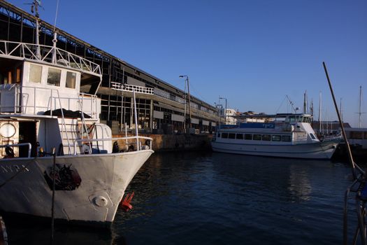 The old Jaffa port