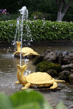 Pair of turtle fountains