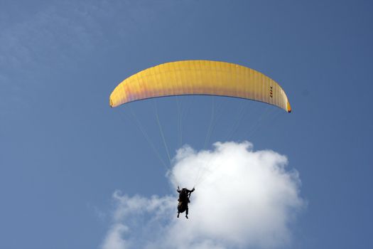 Paraglider