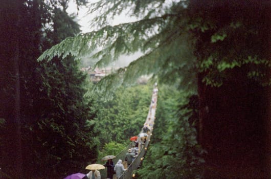 A suspension bridge hangs over a canyon near Vancouver, British Columbia.