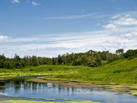 Pond and green landscape in the prairies of Alberta.