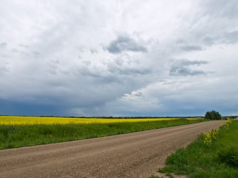 Country road leading off into a storm in Albertas prairies.